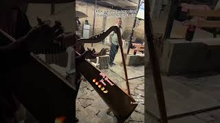 HARP PLAYER PLAYING [STILL DRE] 🔥🔥🔥👌🤌#harp #drdre #dope #global