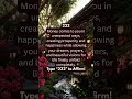 Why Angel number 222 means wealth #manifestation