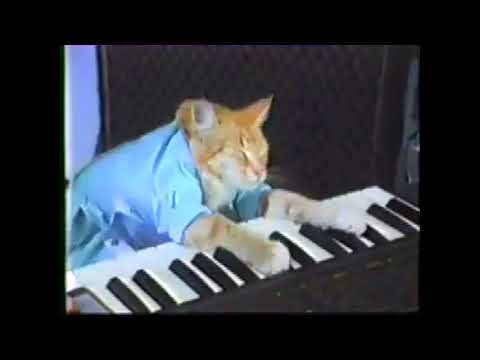 keyboard-cat-10-hour-loop---w/-weird-ending