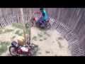 Bike stunts