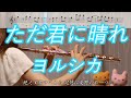 フルート ただ君に晴れ ヨルシカ N Buna 楽譜 Cloudless Yorushika フルート ただ君に晴れ ヨルシカ N Buna 楽譜 Cloudless Yorushika