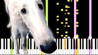 Didn&#39;t I Do It For You - Extended Remix Version - Borzoi Meme Song