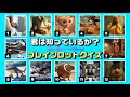 🎧【全12問】イタリアンブレインロットクイズ！これは…どのキャラのこと！？全問正解でブレインロットマスターだ！！Italian Brainrot Quiz