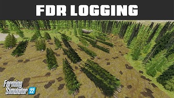 Feller Buncher Tips & Tricks It