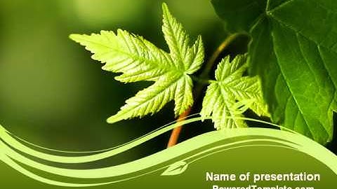 Forest Leaf PowerPoint Template by PoweredTemplate.com