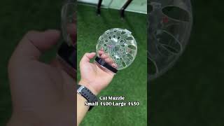 Cat muzzle #ytshorts #pets #foryou #catmuzzle #muzzle