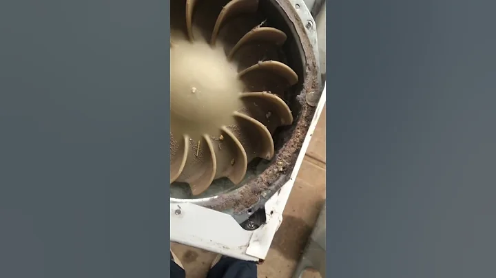 Is Your Dryer Making a Rattling Noise? | The Southern Skunk