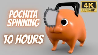 Pochita Spinning 10 Hours