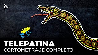 Watch Telepatina: The Frog Dream Trailer