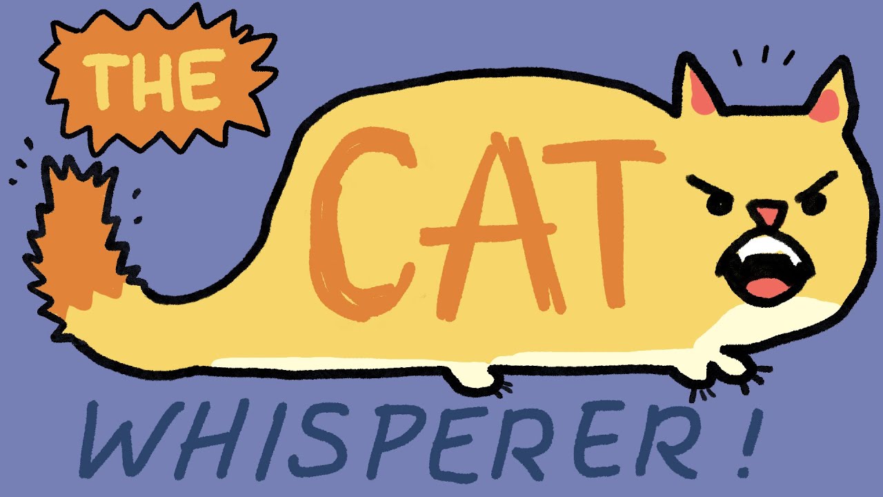 The Cat Whisperer YouTube