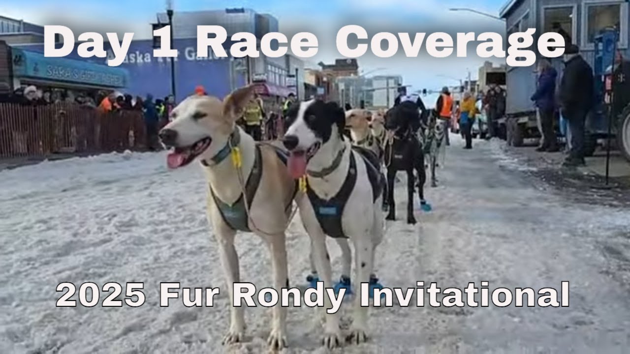 Epic Dog Sled Racing Kicks Off at 2025 Fur Rondy Invitational in ...