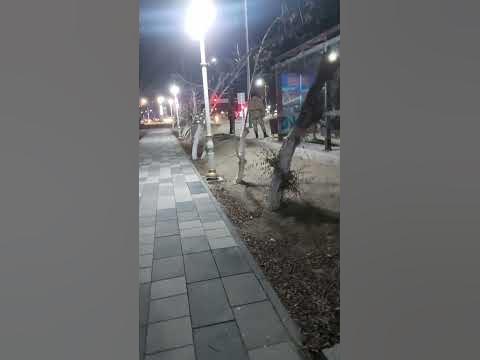 Остановочка #казахстан #кызылорда #погода #остановка #shorts - YouTube