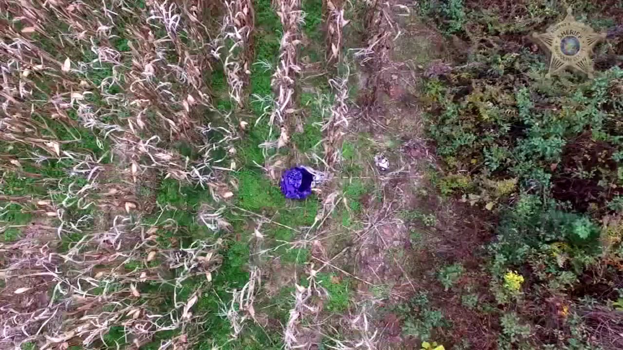 NC deputies use drone to find missing woman - YouTube