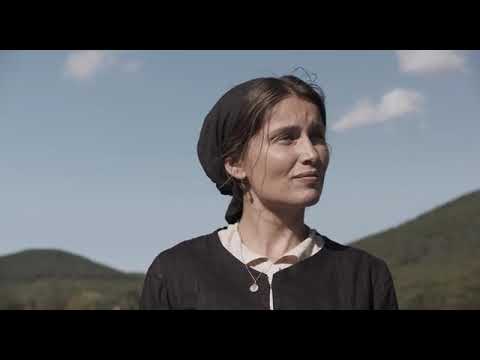 Невероятная история почтальона Шеваля