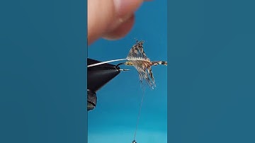 Partridge & Orange soft hackle wet fly #flytying #flyfishing #fly #oldschool