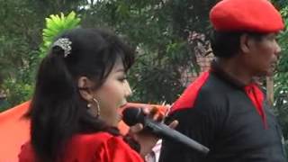 New Pallapa  Kdananye Pdi P Mojokerto