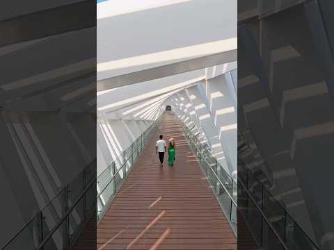 Where to go in Dubai (Part 2) @insta360 #insta360