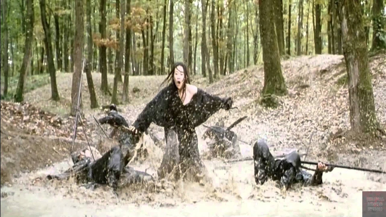 House of Flying Daggers - Shot in the Dark