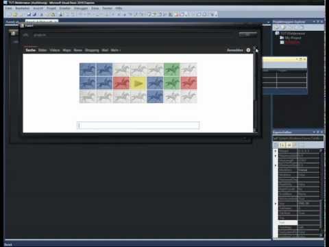 Visual Basic Webbrowser Programmieren