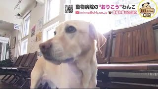 動物病院の