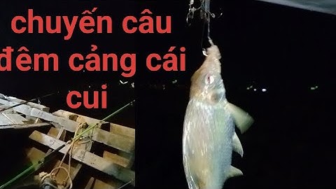 cảng cái cui cá út mập u