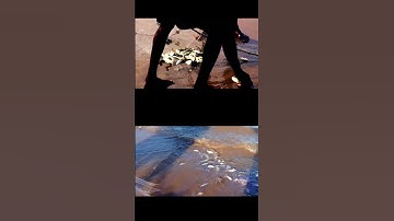 Sáng sớm, kéo lưới bắt cá biển cực chất, fishing net, net fishing, catfishing #shorts