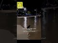 Sad Storie Snapchat Spotlight 4 