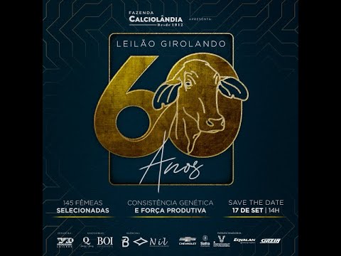 LEILÃO 60 ANOS SELEÇÃO GIROLANDO CALCIOLÂNDIA