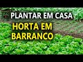 Horta em Barranco, aprenda com Sergio Semerdjian em visita a Valter Damião