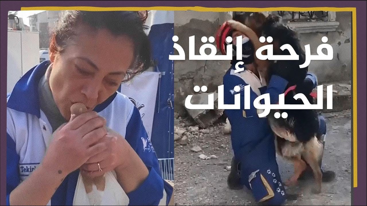 كلب يحتضن مُنقذه وامرأة تُقبّل رأس حمامة.. مشاهد مؤثرة لإنقاذ حيوانات من تحت الأنقاض في تركيا