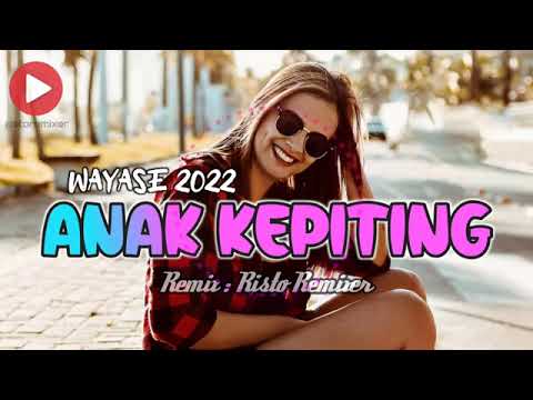 wayase anak kepiting terbaru 2022
