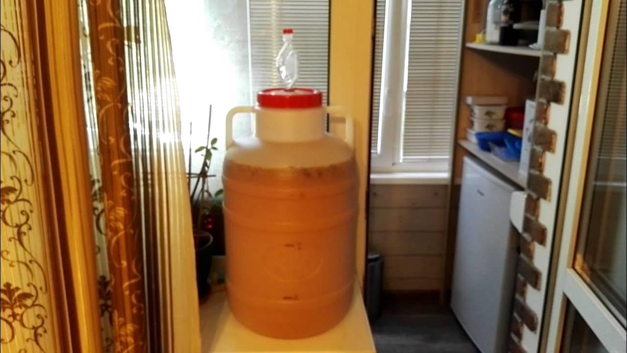 Ускорить процесс брожения браги. Ускоритель брожения браги. Фруктовая брага в брожении. Ускорение брожения сахарной браги. Сахарная брага.