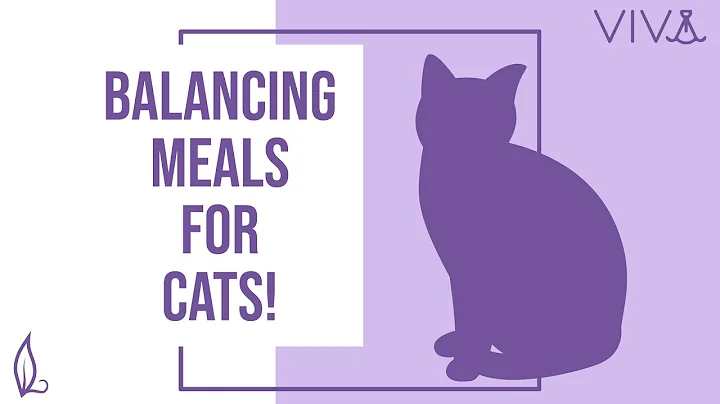 Balancing Viva Raw for Cats