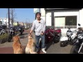 週末なのでまとめて在庫バイクの紹介をしていきます