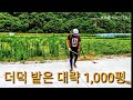 1시간에 1000평. 잡초 박살내기 feat.고라니