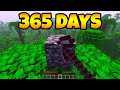 Breaking bedrock in minecraft for 365 days world record