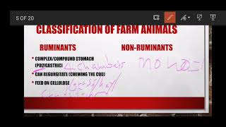 Classification of Farm Animals (Grade 12 Agricultural Sciences) Animal Nutrition