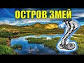 ОСТРОВ ПРОКЛЯТЫХ ЗМЕЙ В ТАЙГЕ СЛУЧАЙ ПОХОД ТУРИСТА ОТШЕЛЬНИКА СУДЬБА  ПУТЕШЕСТВИЕ и ЖИЗНЬ В ЛЕСУ