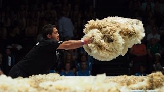 2017 World Shearing and Woolhandling Championships Full Highlights