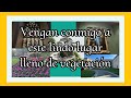 Los invito a este paraíso lleno d vegetación arte y cultura bienvenidos 👍