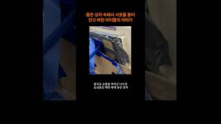 좁은 상자 속에서 서로를 끌어안고 버틴 아이들의 이야기#고양이구조 #유기동물 #홈디포 #동물보호소 #입양스토리