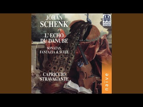 Guarda L'écho du Danube in A Major, Op. 9, Sonata No. 4: Ciacona su YouTube