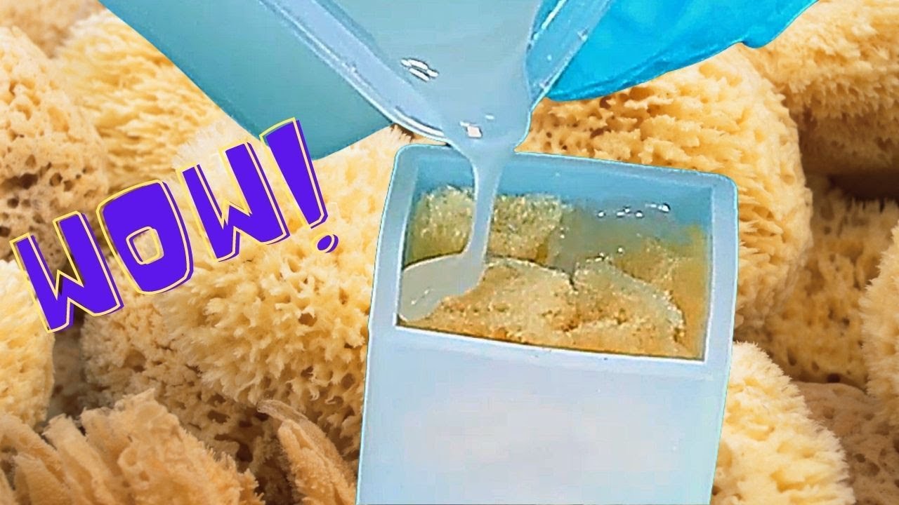 Natural Sponge in Resin - Can You Guess the Reaction?