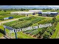 ¿Qué está pasando con AGROSAVIA en Colombia? - TvAgro por Juan Gonzalo Angel