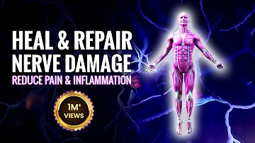 Heal and Repair Nerve Damage | Reduce Pain and Inflammation | Nerve Regeneration Isochronic Tones