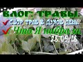 ☘Какие травы я набрала в Духов день./Смысл в чем?/Сбор трав.28.05.18 г.