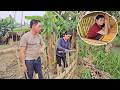 While Thu Was At The Health Check Up Hoi And His Mother Helped Her Fence Off The Farm 