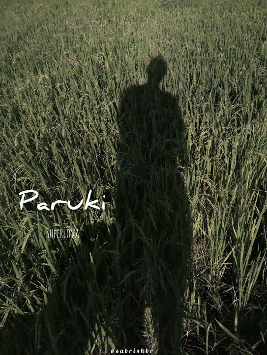 Superlova//paruki