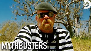 Can Jamie Fool a Sniffer Dog? | Mythbusters | Discovery