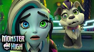 Monster Pets & Magical Creatures Monster High